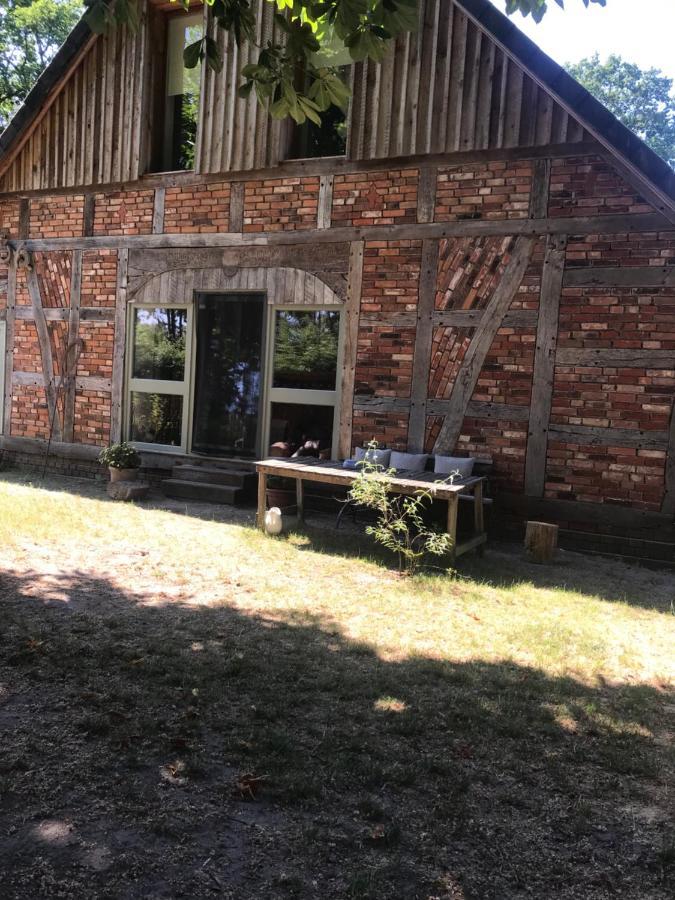 Gemuetliche Ferienwohnung An Der Elbe Блекеде Екстер'єр фото